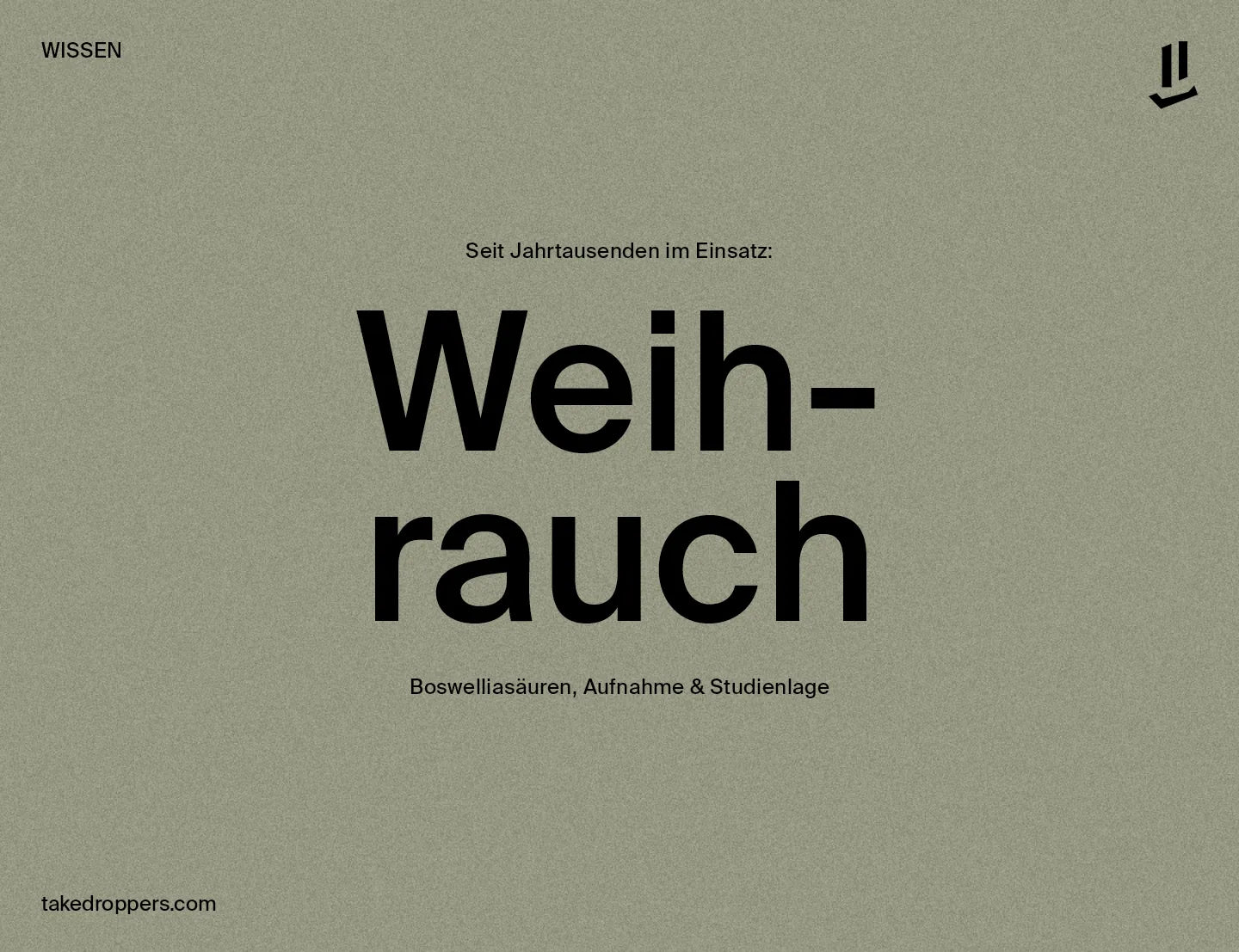 Weihrauch und Boswelliasäuren: was die Studienlage zeigt