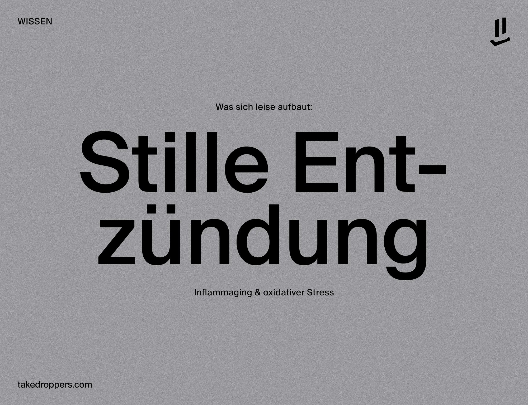 Stille Entzündung: Die unsichtbare Folge dauerhafter Belastung