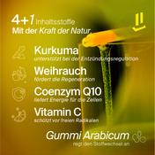 droppers – Immunboost 30ml